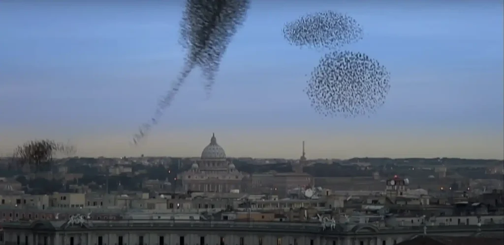 Spiritual Meaning of Birds Flying in a Circle