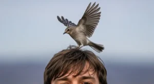 spiritual meaning of a bird landing on your head explained