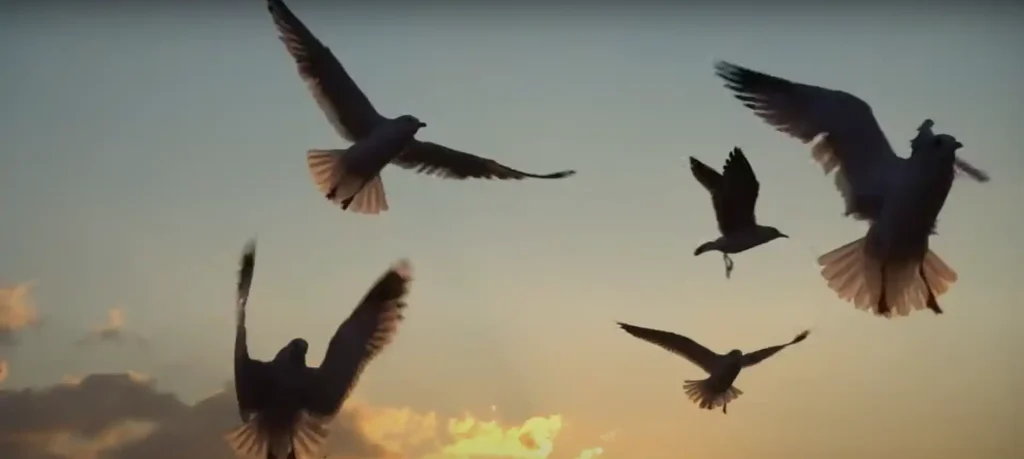 Spiritual Meaning of a Flock of Birds - The Brief Answer