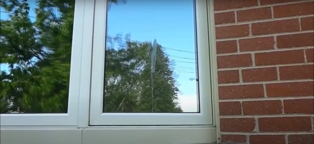 Spiritual Meaning of Bird Poop on the Window