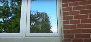 Spiritual Meaning of Bird Poop on the Window