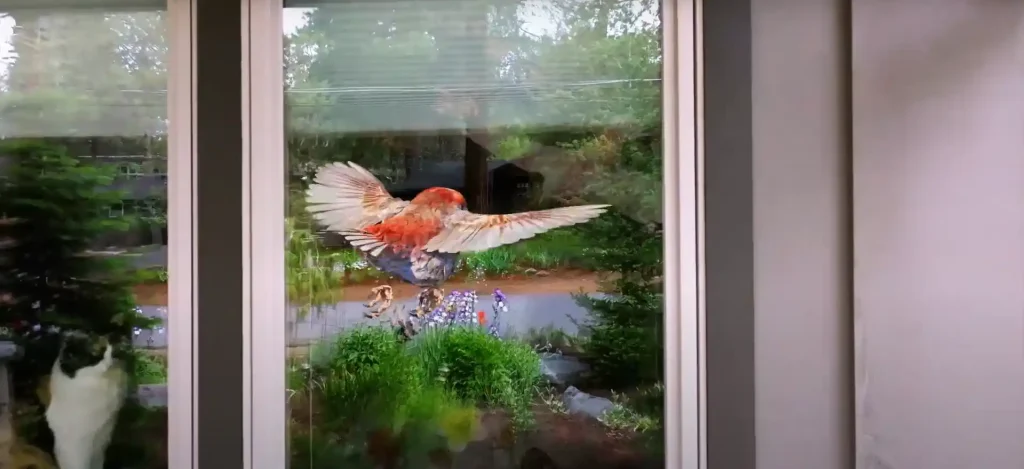 What Does it Mean When a Bird Hits Your Window and Flies Away