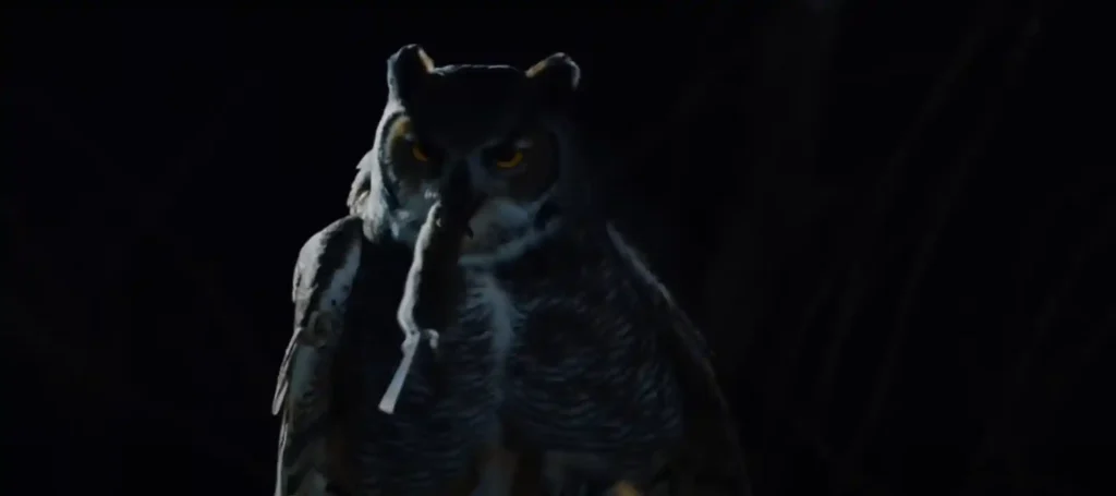 Great Horned Owl Spiritual Meaning Know the Reality