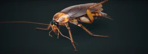 What Does a Cockroach Symbolize You’ll Be Surprised to Learn