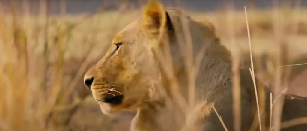 Common Interpretations of Lionesses in Dreams