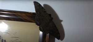 black moth symbolism and black moth spiritual meaning