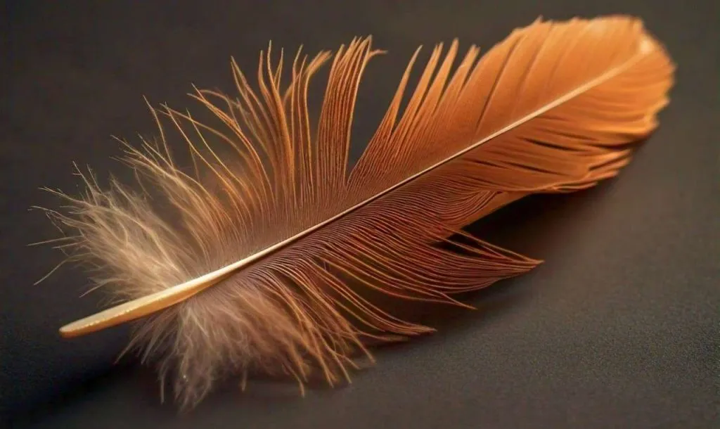 brown feather meaning love