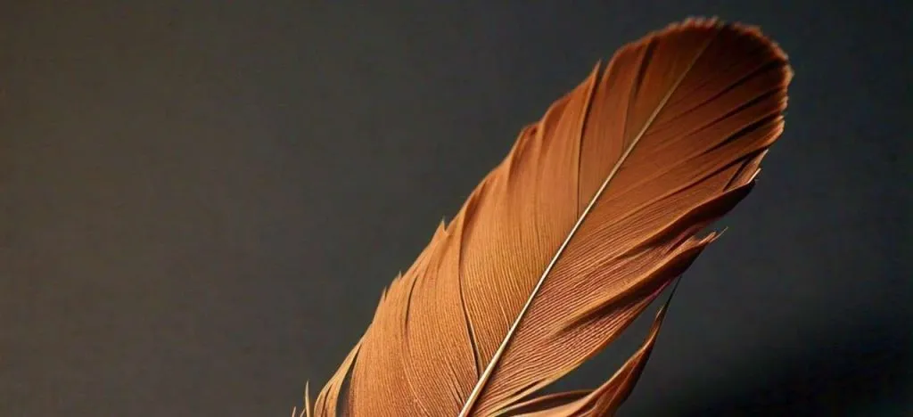 brown feather symbolism