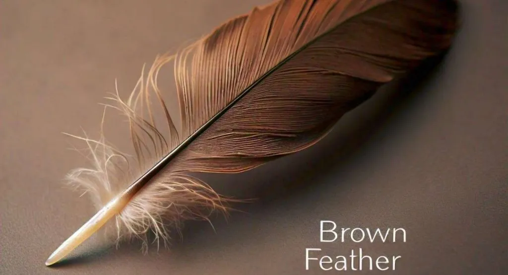 brown striped feather meaning