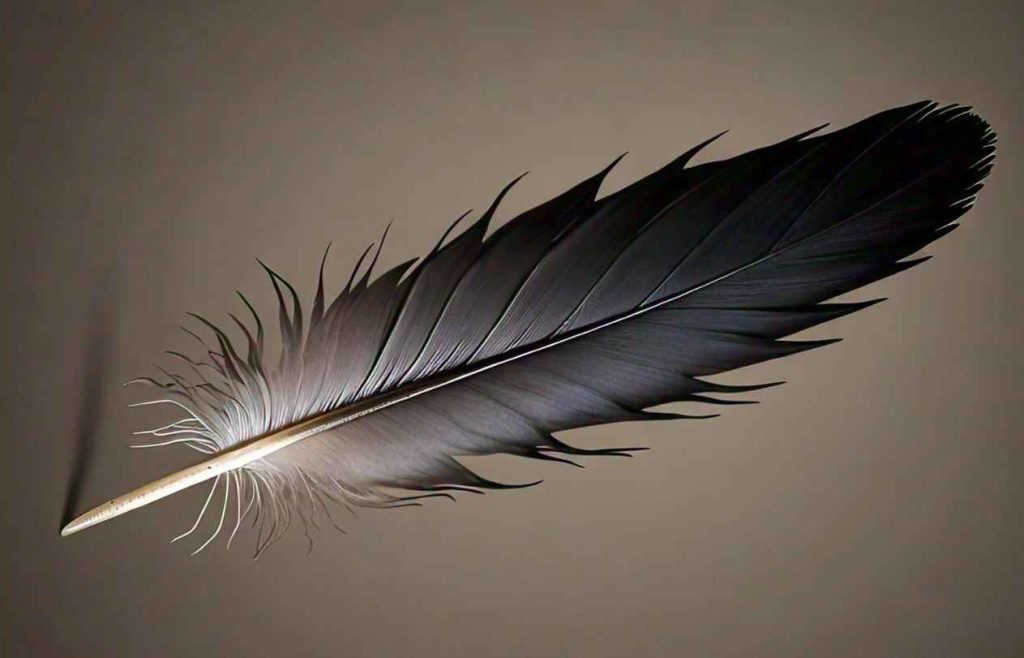 crow feather symbolism