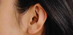Ear Spiritual Meaning Ear Symbolism and Ear Rings Explained