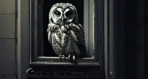 what does it mean when you hear an owl hoot at night spiritual meaning (2)