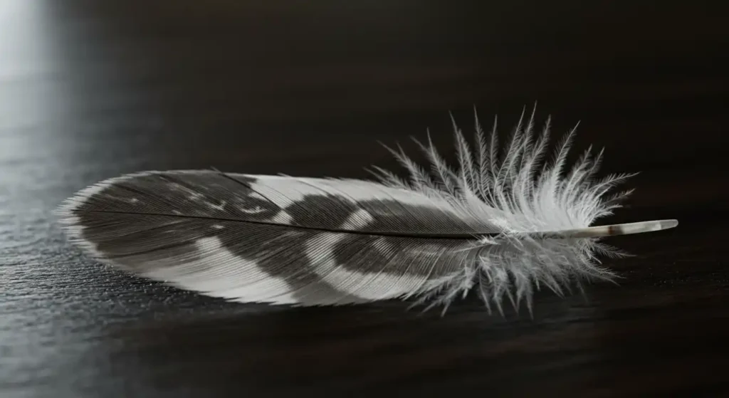 birds with grey and white feathers