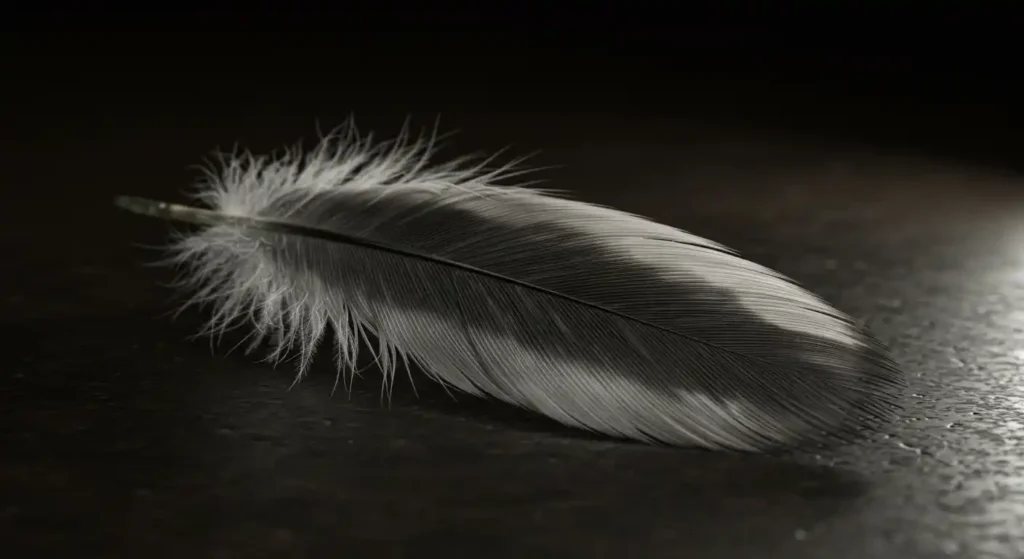 dreams of grey and white feathers