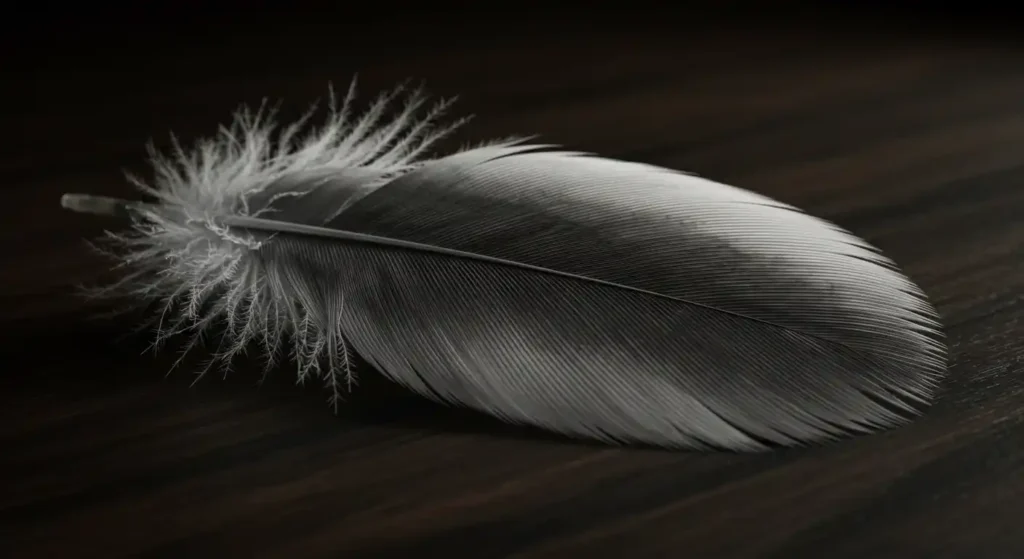 gray and white feather cultural interpretations