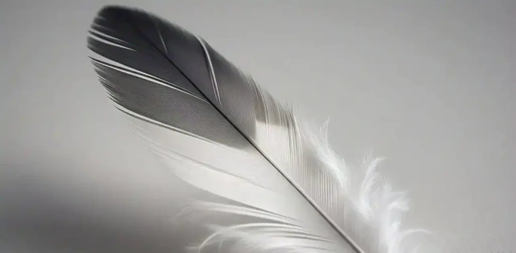 gray and white feather meaning