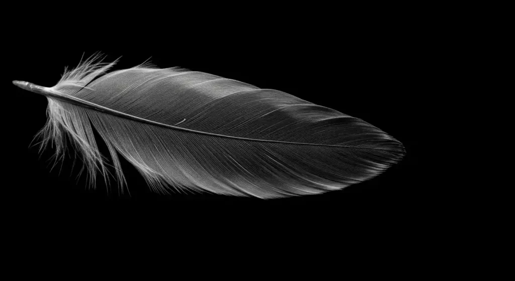 the message behind black and gray feathers