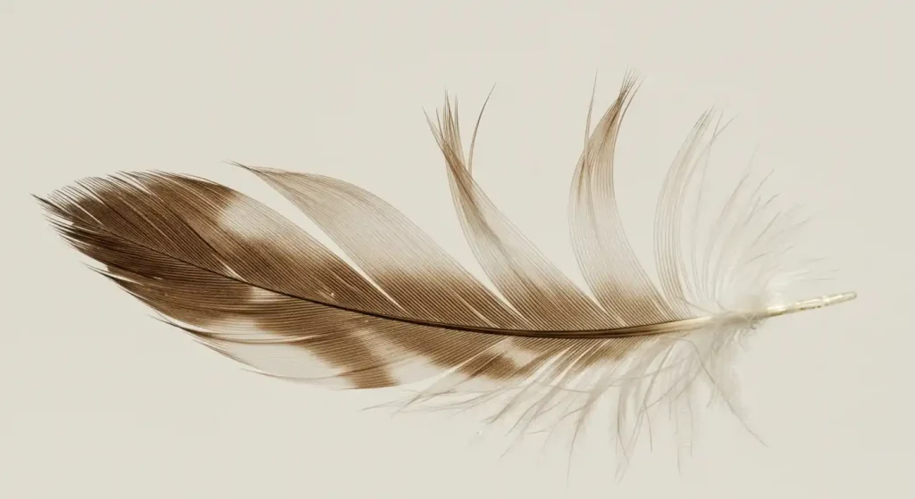 what does a brown feather mean spiritually