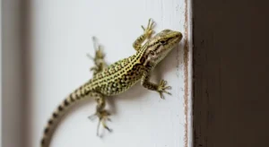 cultural significance of lizards