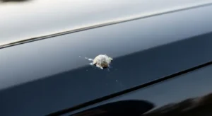 5 spiritual meanings of bird poop on your car