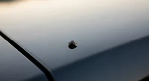bird poop on your car how to interpret the signs