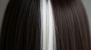 cultural and historical perspectives